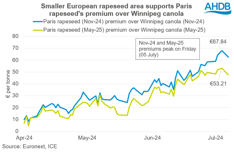 Chart showing smaller European rapeseed area supports Paris rapeseed's premium over Winnipeg canola.